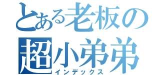 とある老板の超小弟弟（インデックス）