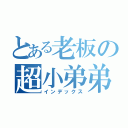 とある老板の超小弟弟（インデックス）