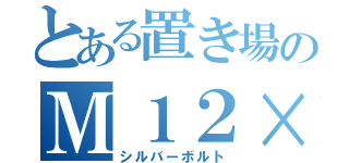 とある置き場のＭ１２×４２（１０．９）（シルバーボルト）