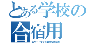 とある学校の合宿用（エリート女子と愉快な仲間達）