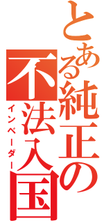 とある純正の不法入国（インベーダー）