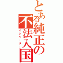 とある純正の不法入国（インベーダー）