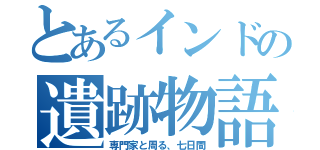 とあるインドの遺跡物語（専門家と周る、七日間）