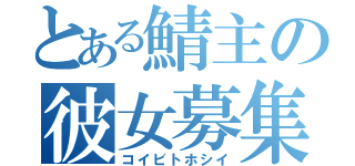 とある鯖主の彼女募集（コイビトホシイ）