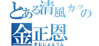 とある清風カットの金正恩（きむじょんうん）