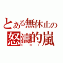 とある無休止の怒濤的嵐（ＵＲＩ）