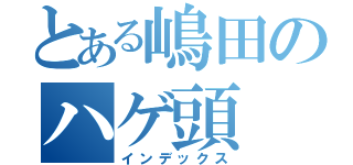 とある嶋田のハゲ頭（インデックス）