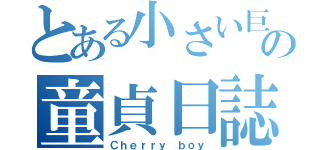 とある小さい巨チンの童貞日誌（Ｃｈｅｒｒｙ ｂｏｙ）