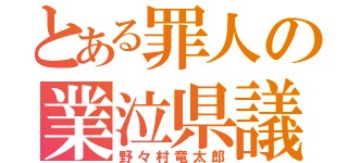 とある罪人の業泣県議（野々村竜太郎）