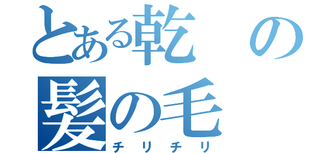 とある乾の髪の毛（チリチリ）