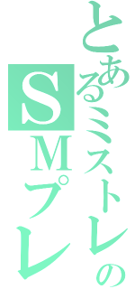 とあるミストレのＳＭプレイ（）