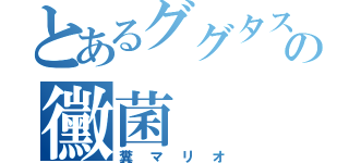 とあるググタスの黴菌（糞マリオ）