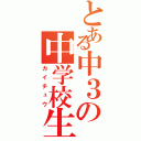 とある中３の中学校生活（カイチュウ）