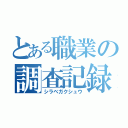 とある職業の調査記録（シラベガクシュウ）