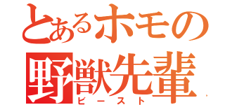 とあるホモの野獣先輩（ビースト）