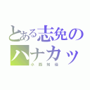 とある志免のハナカッパ（小西知佳）