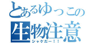 とあるゆっこの生物注意（シャケだー！！）