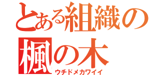 とある組織の楓の木（ウチドメカワイイ）