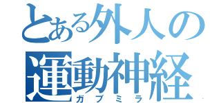 とある外人の運動神経（ガブミラ）