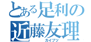 とある足利の近藤友理（    カイブツ）