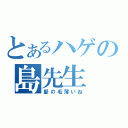 とあるハゲの島先生（髪の毛薄いね）