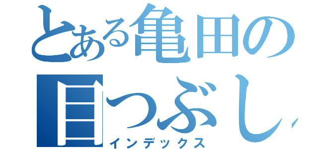 とある亀田の目つぶし（インデックス）