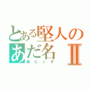 とある堅人のあだ名Ⅱ（泉ピン子）