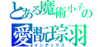 とある魔術小子の愛翫琮羽（インデックス）