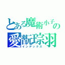 とある魔術小子の愛翫琮羽（インデックス）