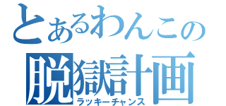 とあるわんこの脱獄計画（ラッキーチャンス）