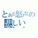 とある怒声の悲しい（放送）