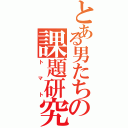 とある男たちの課題研究Ⅱ（トマト）