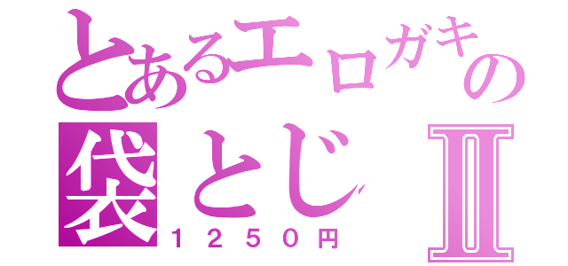 とあるエロガキの袋とじⅡ（１２５０円）