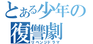 とある少年の復讐劇（リベンジドラマ）