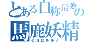 とある自称最強の馬鹿妖精（それはチルノ）