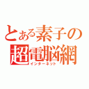 とある素子の超電脳網（インターネット）