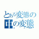 とある変態の中の変態紳士（ユズ）