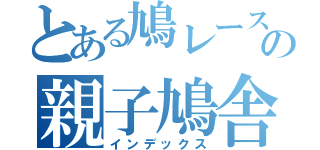 とある鳩レースの親子鳩舎（インデックス）