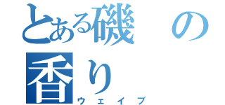 とある磯の香り（ウェイブ）