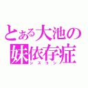 とある大池の妹依存症（シスコン）