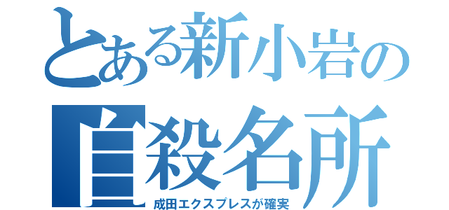 とある新小岩の自殺名所（成田エクスプレスが確実）