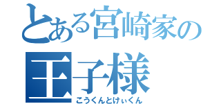 とある宮崎家の王子様（こうくんとけぃくん）