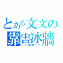 とある文文の靠害冰牆（啊？助攻呢？）