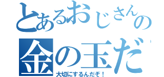 とあるおじさんの金の玉だ（大切にするんだぞ！）