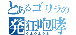 とあるゴリラの発狂咆哮（ウホウホウホ）