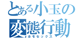 とある小玉の変態行動（ホモセックス）