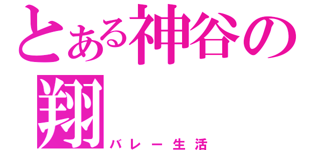 とある神谷の翔（バレー生活）