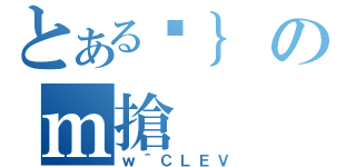 とあるÓ｝のｍ搶（ｗ＾ＣＬＥＶ）