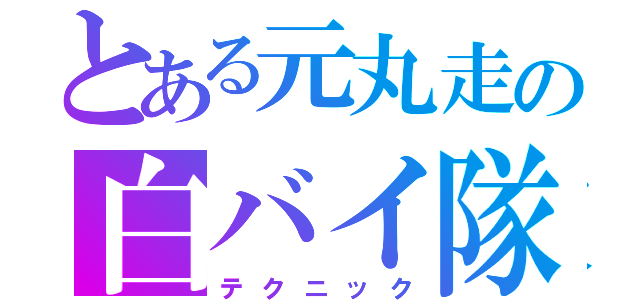 とある元丸走の白バイ隊（テクニック）