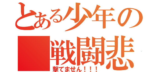 とある少年の 戦闘悲観（撃てません！！！）